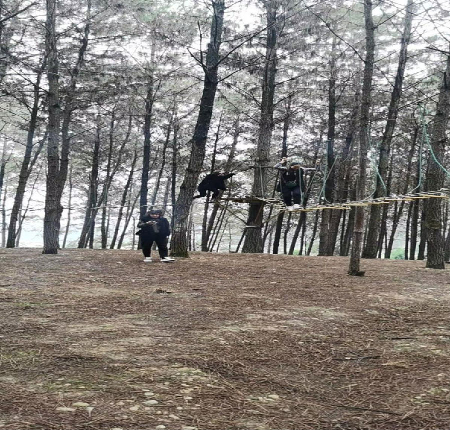 圖片2.png 圖片2.png